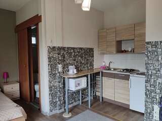 Апартаменты Bambukovyi Gai Киев Апартаменты с балконом-6