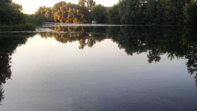 Апартаменты Bambukovyi Gai Киев-32