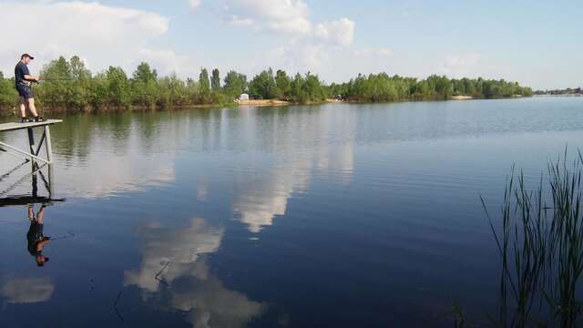 Апартаменты Bambukovyi Gai Киев-7